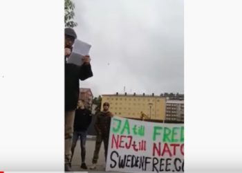 NATO-protest: Ulf Sandmark talar på mötet i Fatbursparken i Stockholm