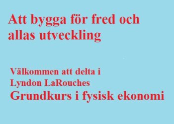 Börja grundkursen i Fysisk ekonomi: Så du vill lära dig allt om ekonomi?