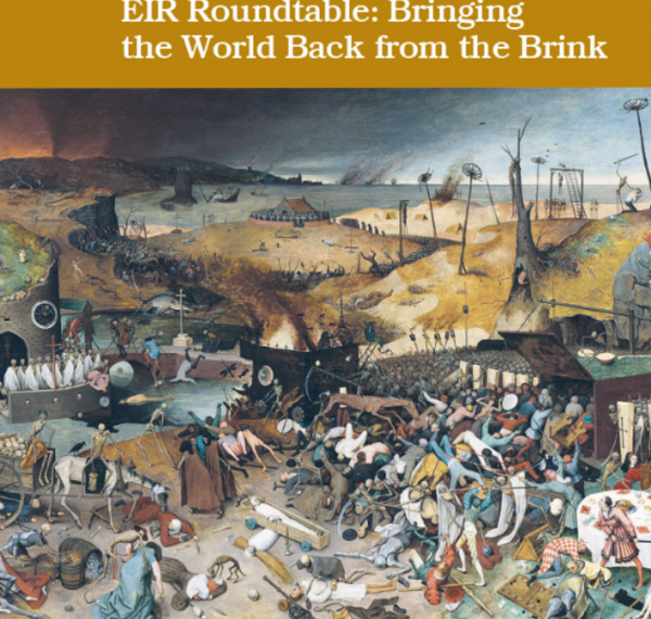 12 januariappellen: Låt oss skapa en rörelse av världsmedborgare!